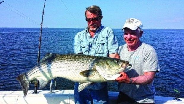 This 51-pound, 50.25-inch rockfish was landed by TJ Mulrenin (right) while fishing with Captain Jim Batchelor on Reel Times out of Breezy Point. Photo Courtesy of TJ Mulrenin