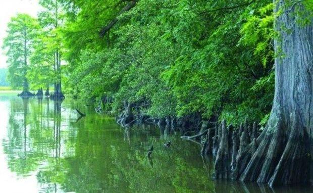 The whole place is a fishing hole, and it's a great place to bird watch, especially for eagles. The whole place is a fishing hole, and it's a great place to bird watch, especially for eagles.