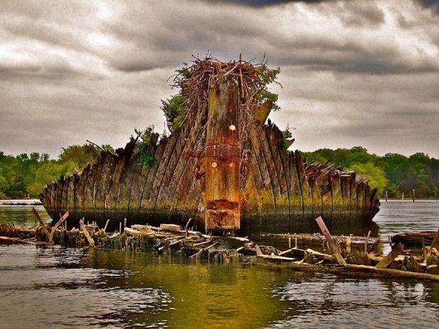 Photo courtesy of NOAA National Marine Sanctuaries