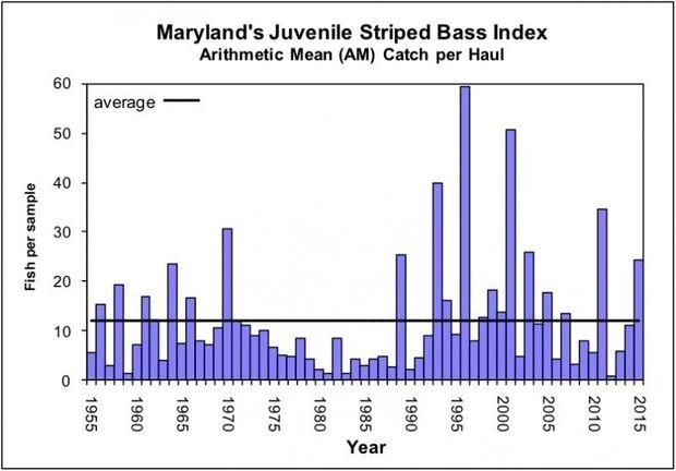 Graph courtesy of MD DNR Graph courtesy of MD DNR