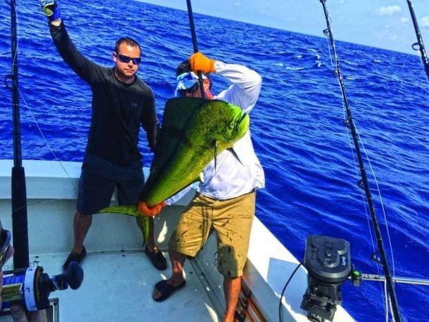 Keith's mahi mahi. Keith's mahi mahi.