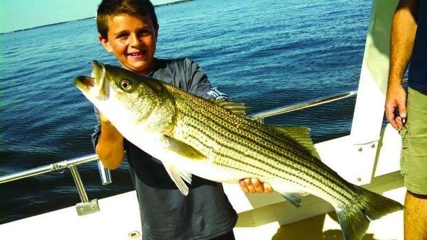 Tyler Dellarocco from Pikesville fished in the Rock Hall, MD, C.O.P.S. fishing tournament, where he landed a 30 1/2-inch rockfish trolling a #17 Tony spoon. Photo courtesy of Vista Lady Charters