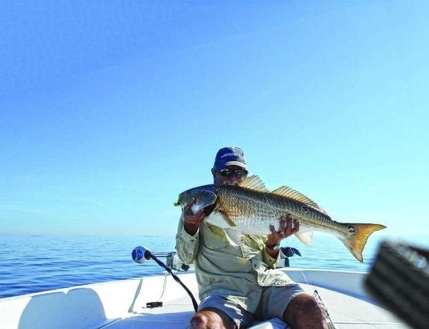 It's been another banner year for red drum. Bill Horvath of Chesapeake Beach, MD, caught and then quickly released this 40-inch redfish using a chartreuse bucktail trolled south of Breezy Point. Photo courtesy of Bill Horvath