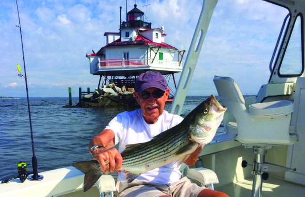 Eighty-five year old Albert Oster hooked this keeper striper off Thomas Point Light fishing with his son Gary on the Albert C. Photo courtesy of Gary Oster Eighty-five year old Albert Oster hooked this keeper striper off Thomas Point Light fishing with his son Gary on the Albert C. Photo courtesy of Gary Oster