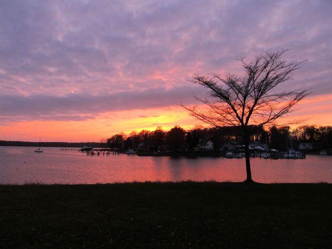 The November sun dips down on Cadle Creek.<br />Photo by Ruth Christie