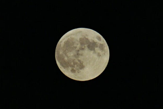 Harvest moon photo captured by Nicci DeAngelo in September.