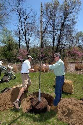 Photo courtesy of DNR