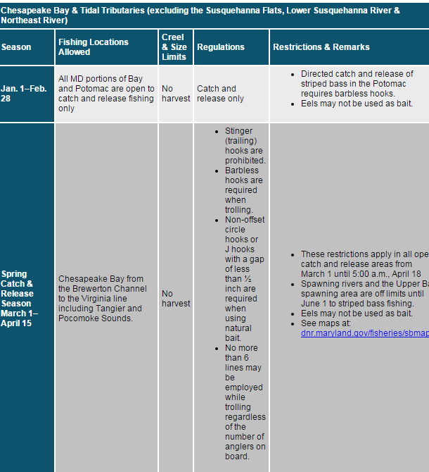 Striped bass fishing, harvest, and possession regulations. Click to view the full table, courtesy of the MD DNR