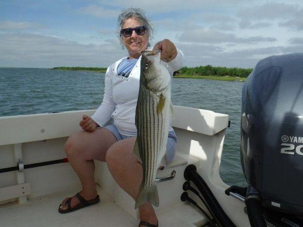 "Chincoteague Carroll" with a hefty rockfish taken from the grass beds of Pocomoke Sound with Captain Walt. (Photo courtesy Light Tackle Charters)